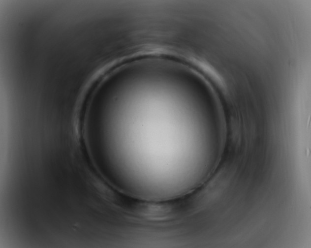 X0000093161318200710031439