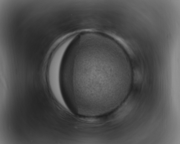 X0000093161319200710031439