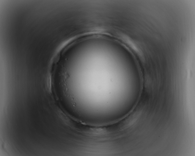 X0000093161320200710031439