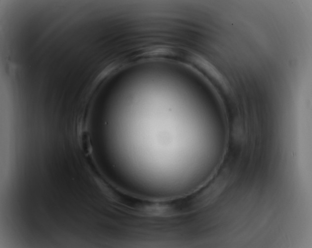 X0000093161321200710031439