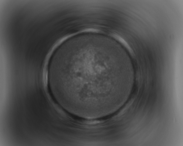 X0000093161323200710031439