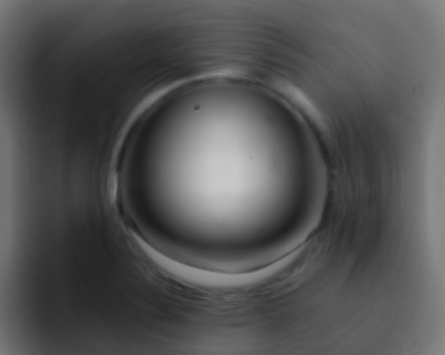 X0000093161324200710031439