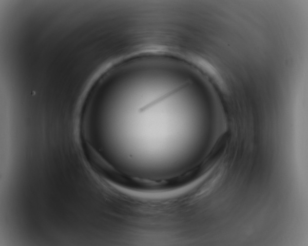 X0000093161326200710031439