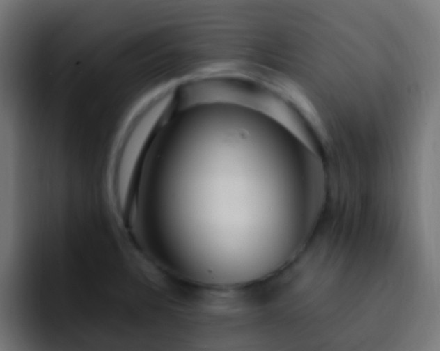 X0000093161328200710031439