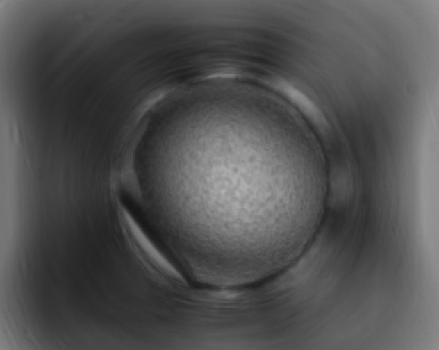 X0000093161329200710031439