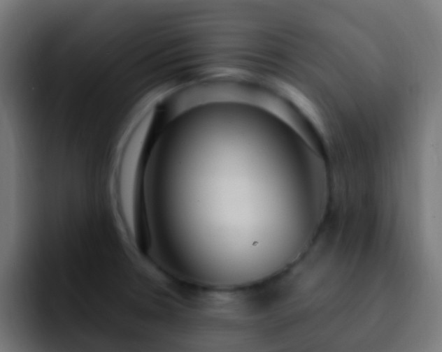 X0000093161330200710031439