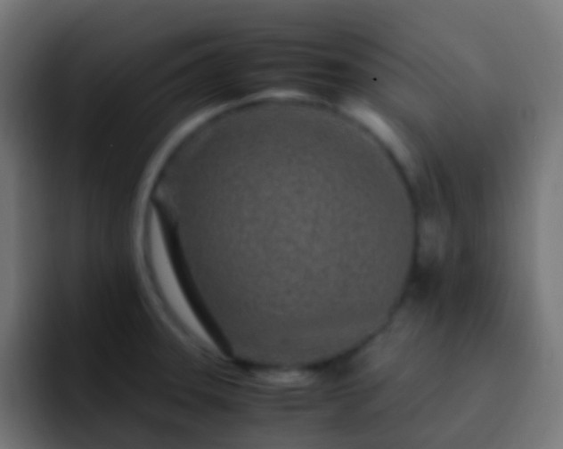 X0000093161331200710031439