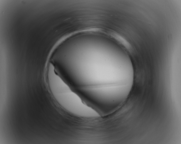 X0000093161332200710031439