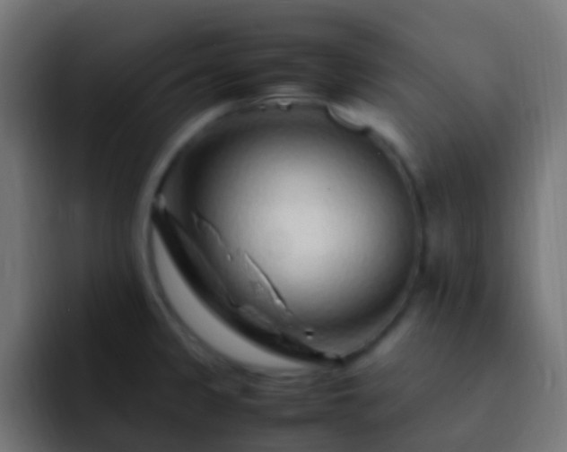 X0000093161333200710031439