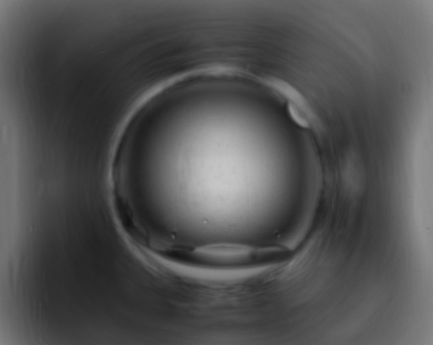 X0000093161335200710031439