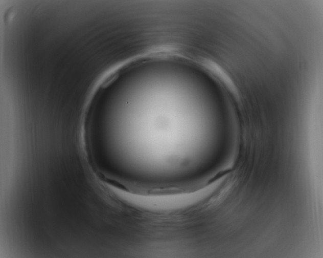 X0000093161336200710031439