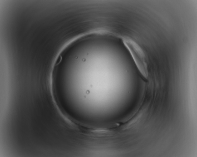 X0000093161343200710031439