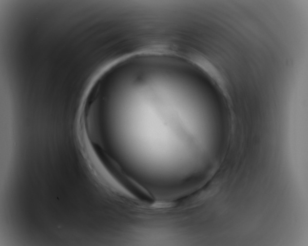 X0000093161344200710031439