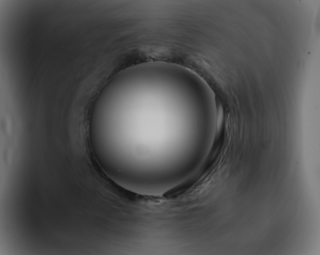 X0000093161345200710031438