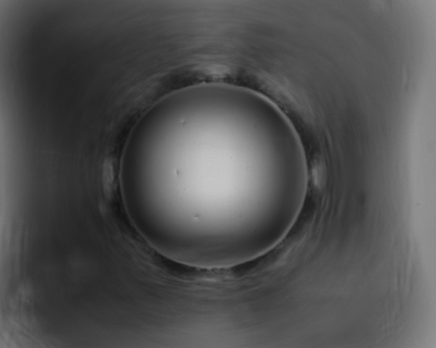 X0000093161347200710031438