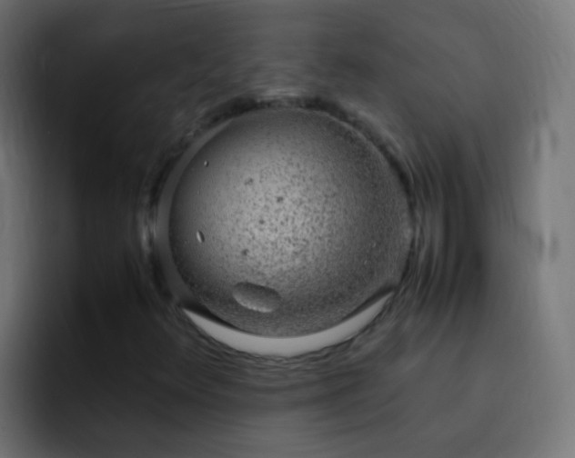 X0000093161348200710031438