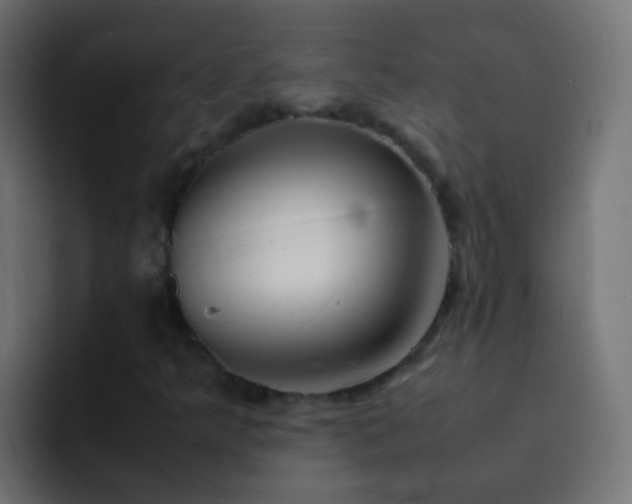 X0000093161349200710031438
