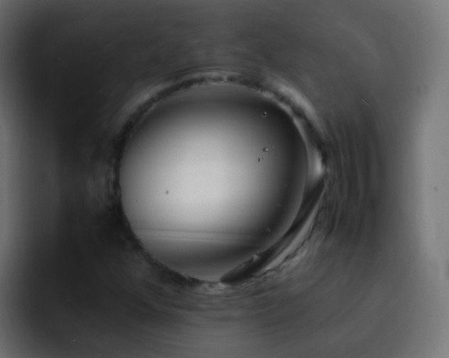 X0000093161352200710031438