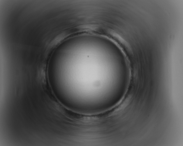X0000093161354200710031438