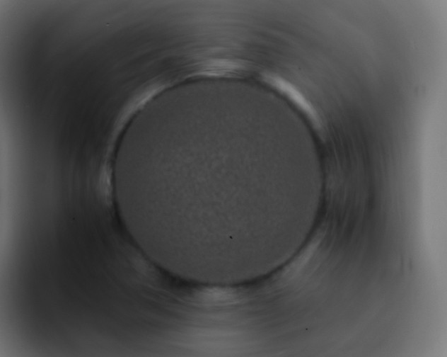X0000093161362200710031438