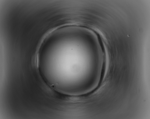 X0000093161371200710031438