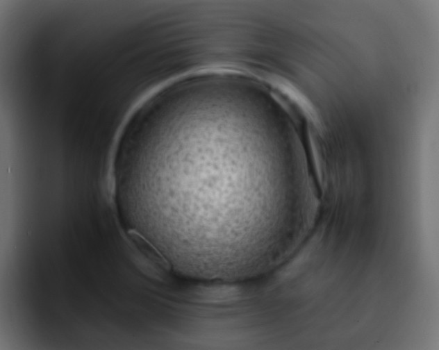X0000093161372200710031438