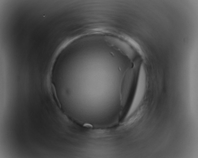 X0000093161373200710031438