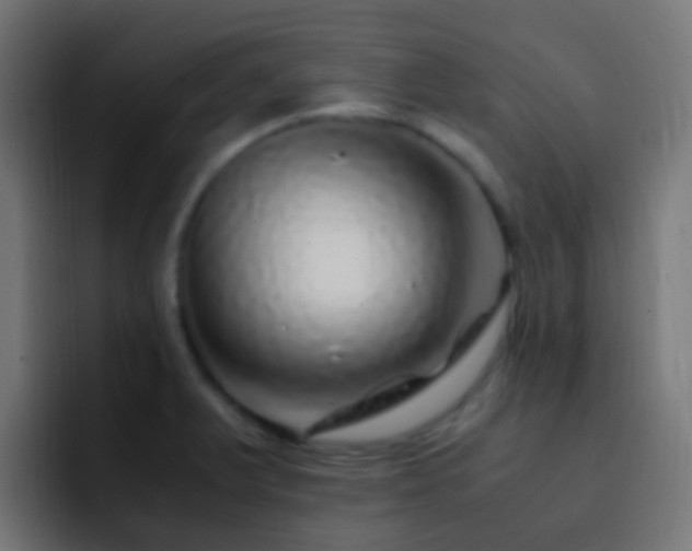 X0000093161375200710031438