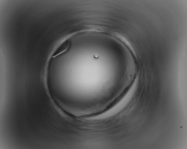 X0000093161379200710031438