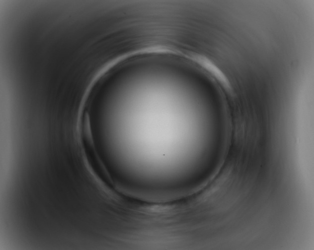 X0000093161380200710031438