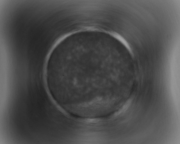 X0000093161381200710031438