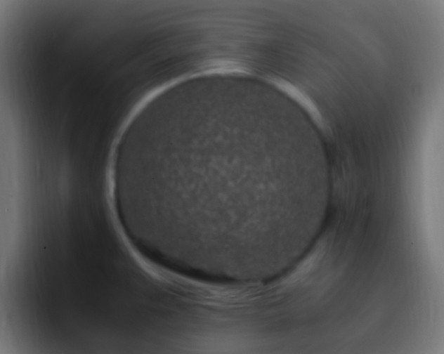 X0000093161383200710031438