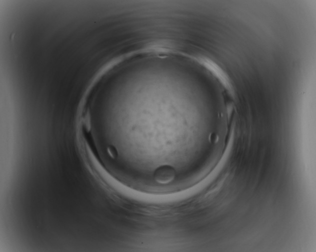X0000093161384200710031438