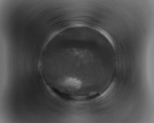 X0000093161385200710031438