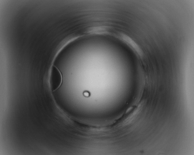 X0000093161386200710031438