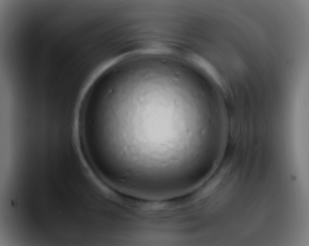 X0000093161387200710031438