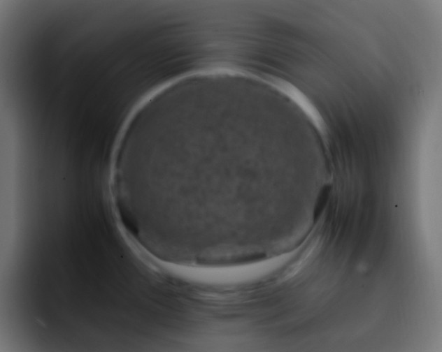 X0000093161388200710031438