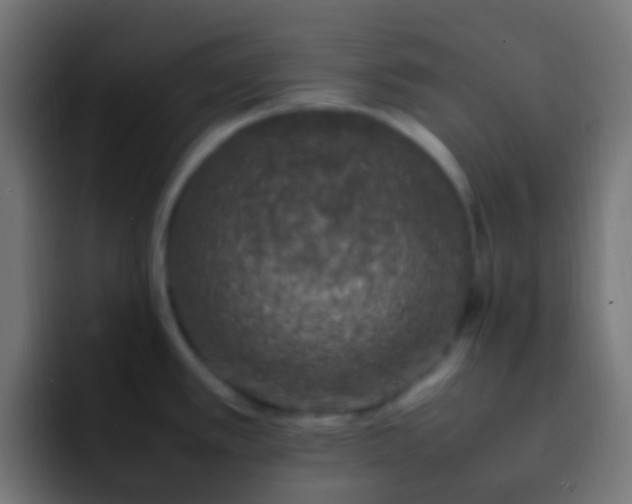X0000093161389200710031438