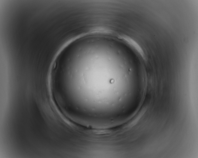 X0000093161391200710031438