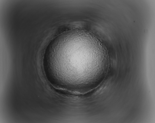 X0000093161393200710031437