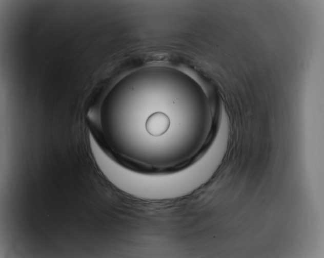 X0000093161394200710031437