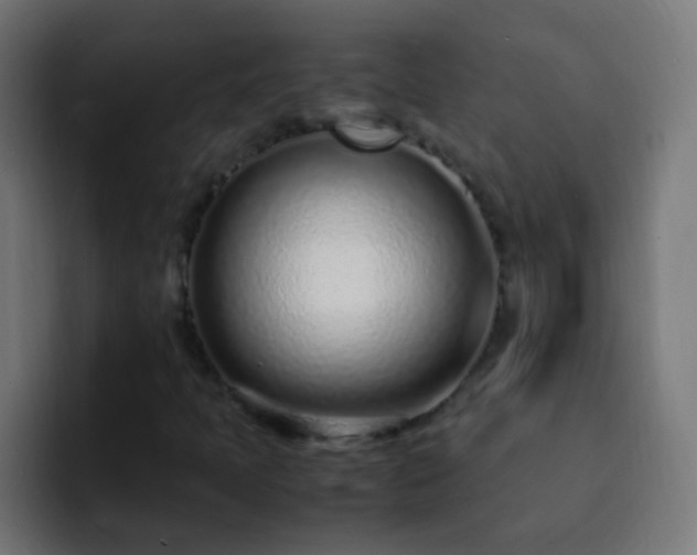 X0000093161397200710031437