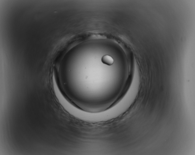 X0000093161398200710031437