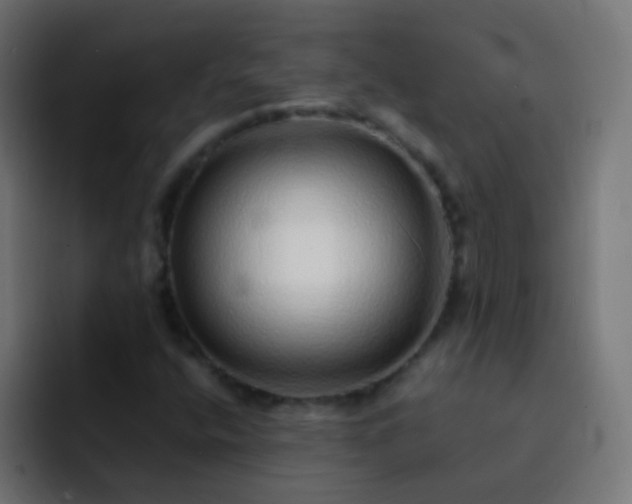 X0000093161400200710031437