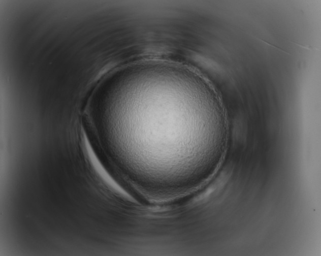 X0000093161401200710031437