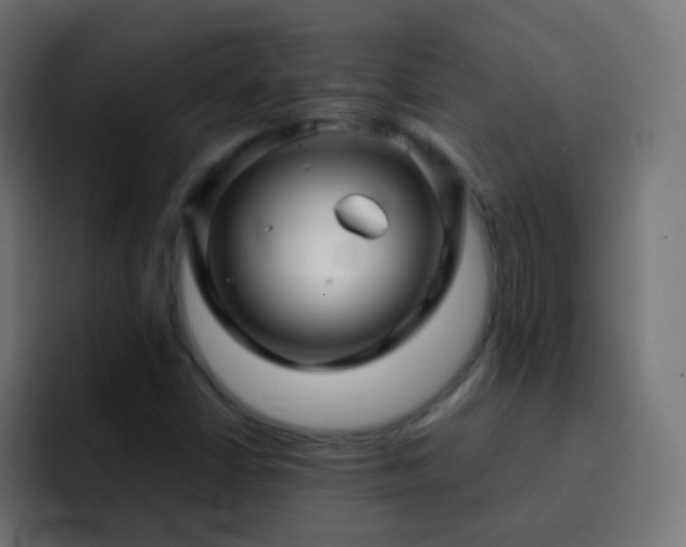 X0000093161402200710031437