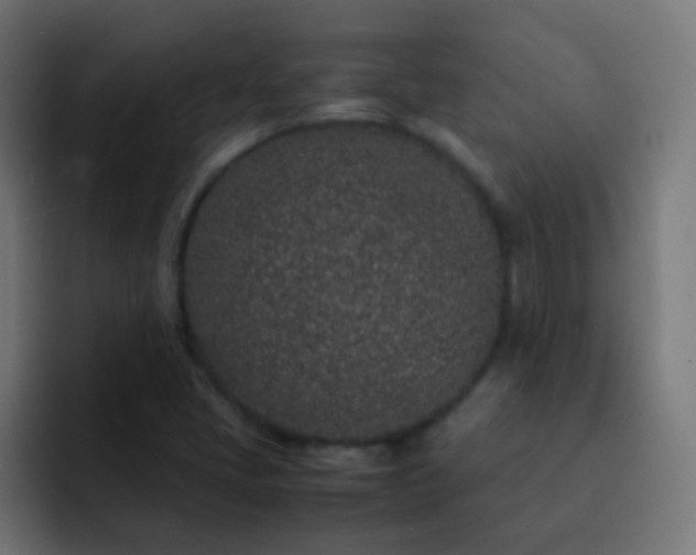 X0000093161405200710031437