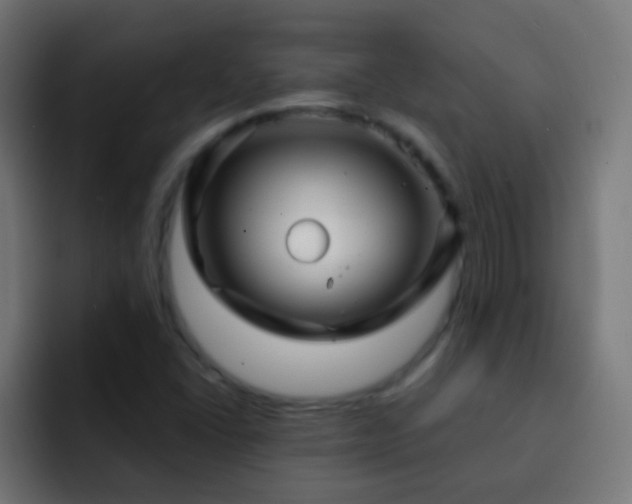 X0000093161406200710031437