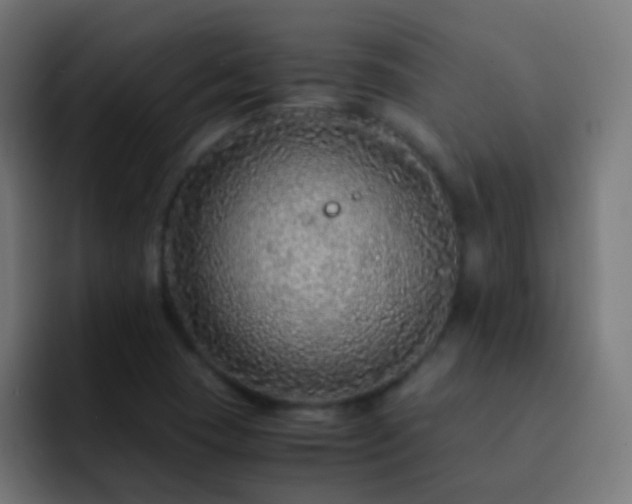 X0000093161409200710031437