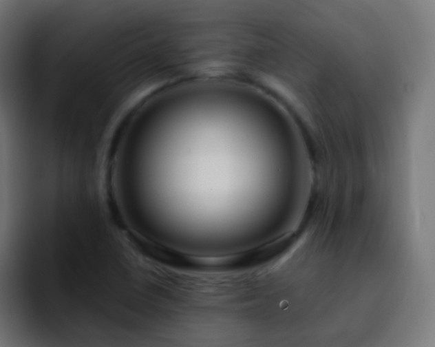 X0000093161410200710031437